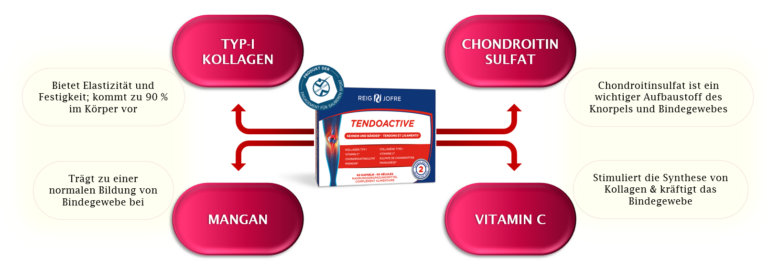 Inhaltsstoffe Tendoactive