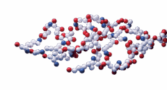 Glossar – Inhaltsstoffe: sT-LysYal<sup>®</sup>
