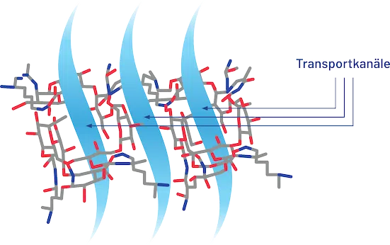 sT-LysYal - Supramolekülstruktur mit Transportkanälen