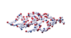 Glossar – Inhaltsstoffe: sT-LysYal<sup>®</sup>